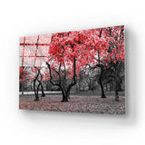 Red Leaves Trees in Park Glass Wall Art - CreoGlass E-Shop