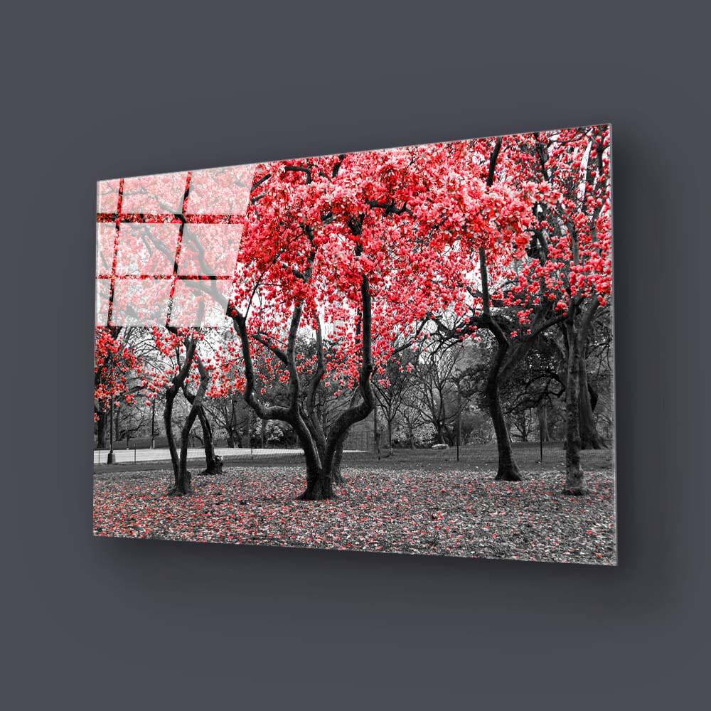Red Leaves Trees in Park Glass Wall Art - CreoGlass E-Shop