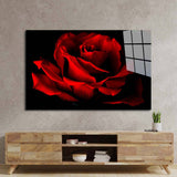 Red Rose with Black Background Glass Wall Art - CreoGlass E-Shop