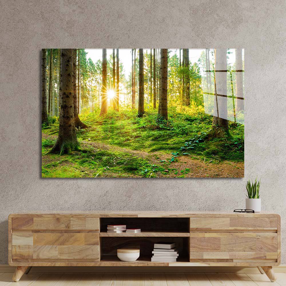 Sunshine in Forest Glass Wall Art - CreoGlass E-Shop