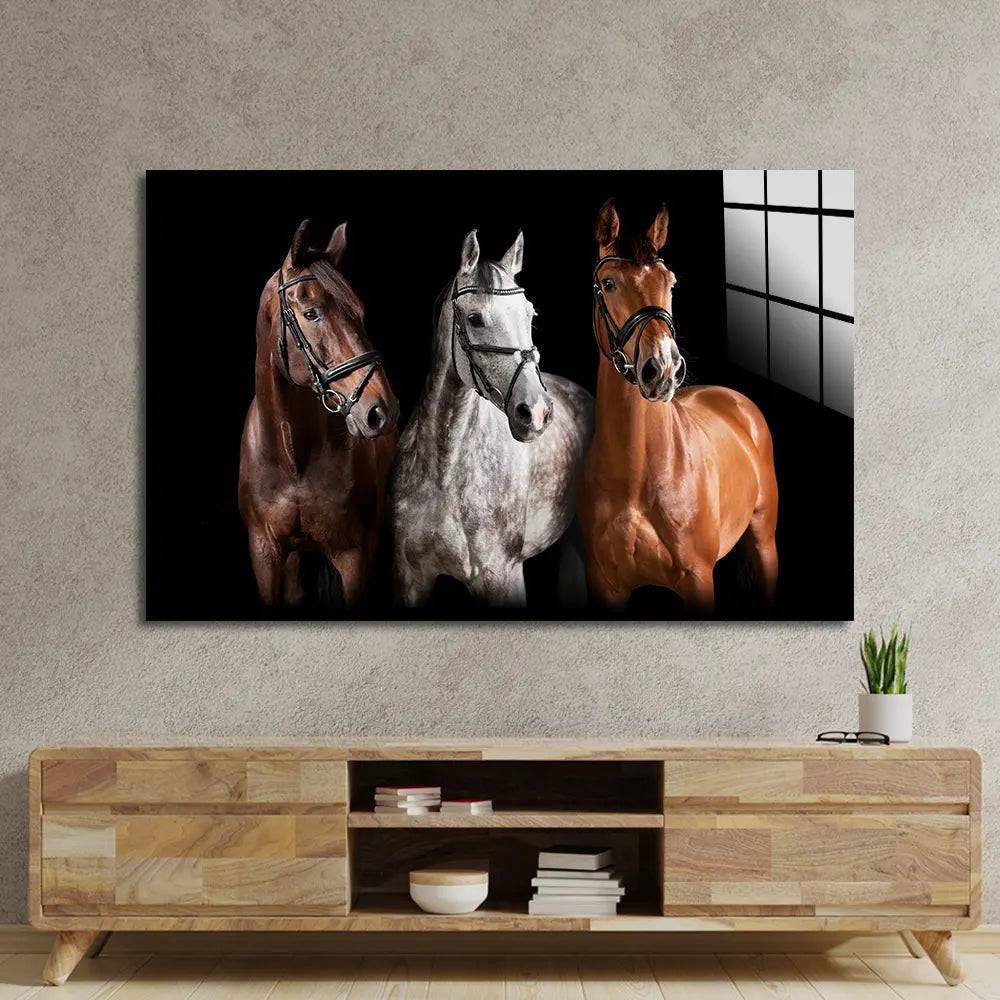 Three Horses With Bridle Against Black Background Glass Wall - CreoGlass E-Shop