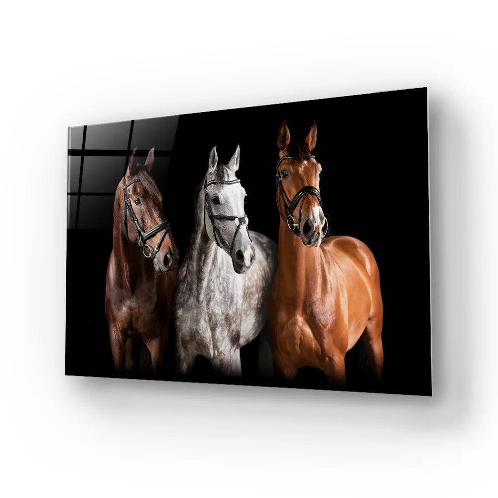 Three Horses With Bridle Against Black Background Glass Wall - CreoGlass E-Shop