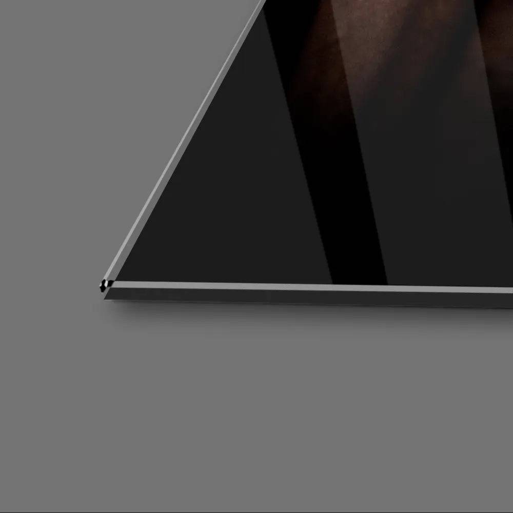 Three Horses With Bridle Against Black Background Glass Wall - CreoGlass E-Shop