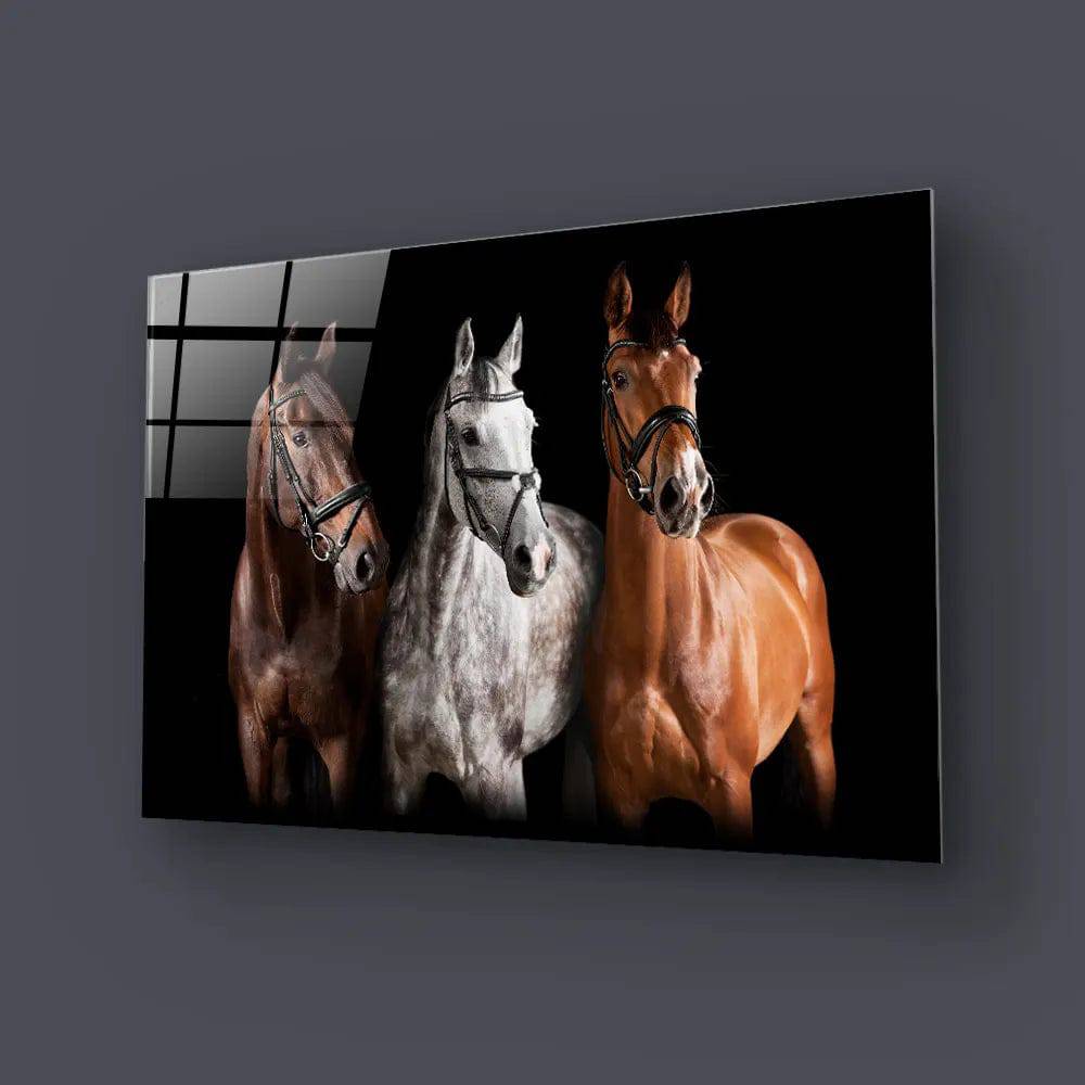 Three Horses With Bridle Against Black Background Glass Wall - CreoGlass E-Shop