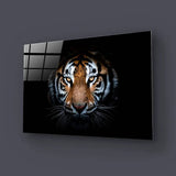 Tiger Portrait On Black Background Glass Wall Art - CreoGlass E-Shop
