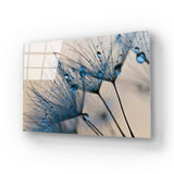 Water droplets on a Dandelion Glass Wall Art - CreoGlass E-Shop