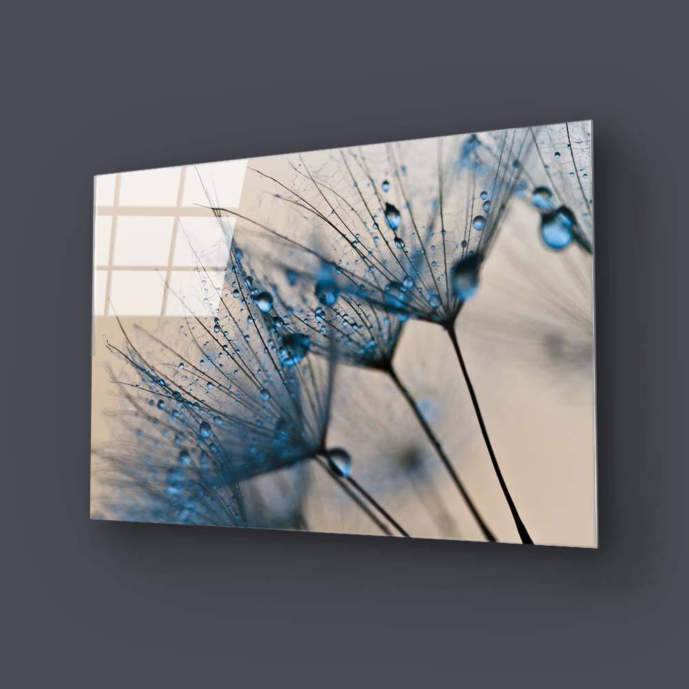 Water droplets on a Dandelion Glass Wall Art - CreoGlass E-Shop