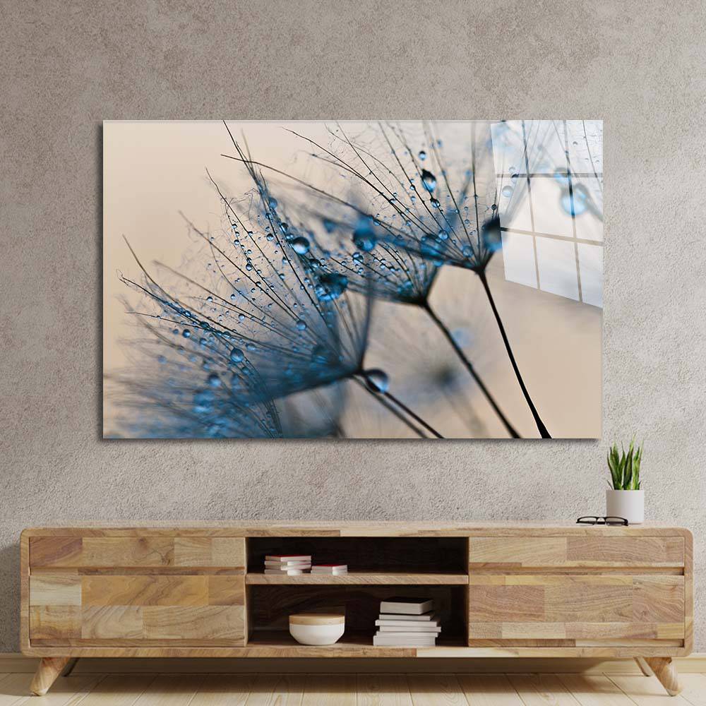Water droplets on a Dandelion Glass Wall Art - CreoGlass E-Shop