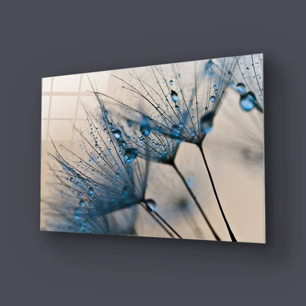 Water Droplets On Dandelion Glass Wall Art - CreoGlass E-Shop