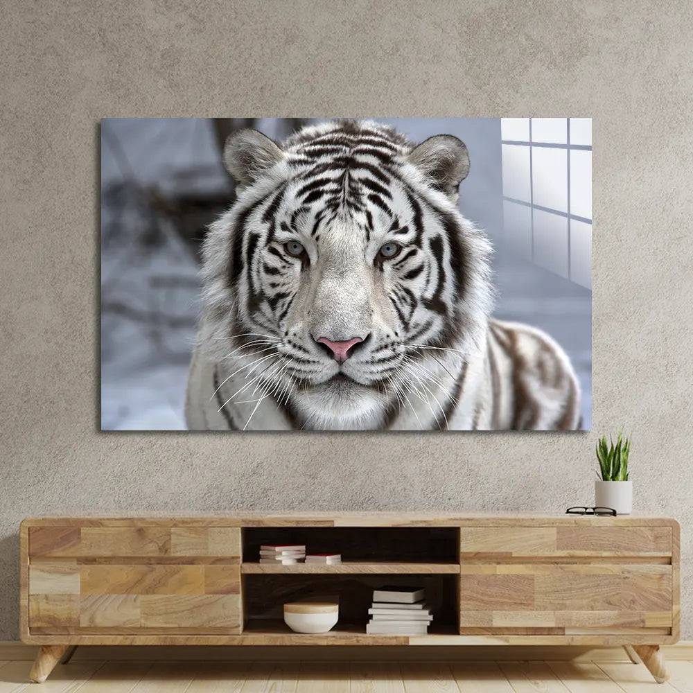 White Bengal Tiger Closeup Glass Wall Art - CreoGlass E-Shop