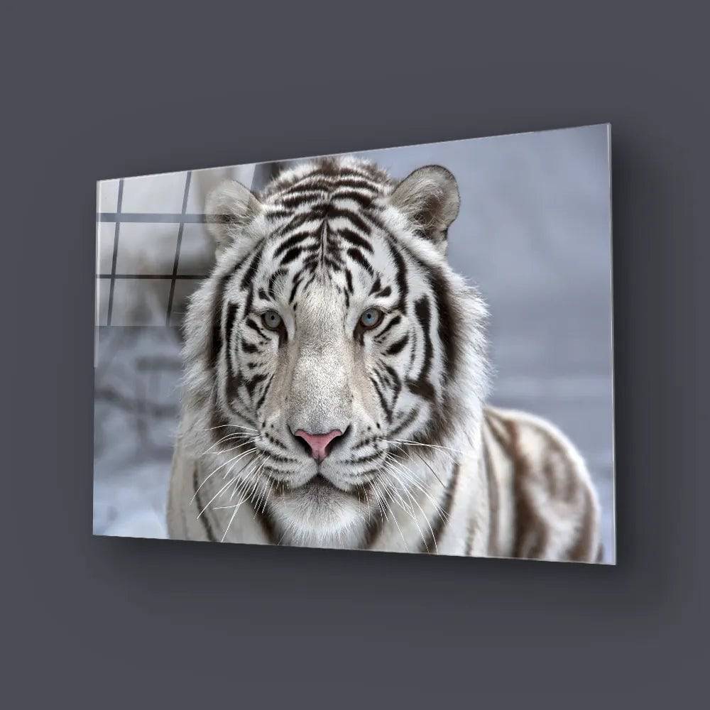 White Bengal Tiger Closeup Glass Wall Art - CreoGlass E-Shop