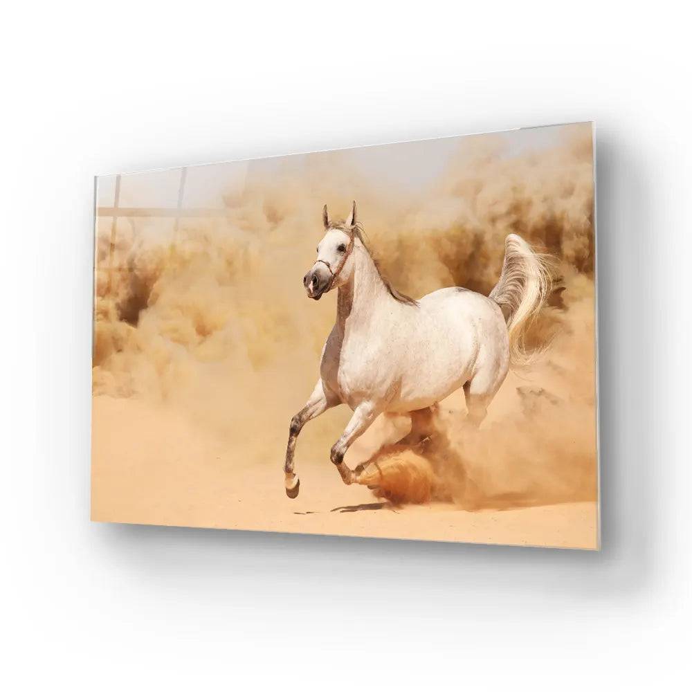 White Horse Running in Desert Glass Wall Art - CreoGlass E-Shop