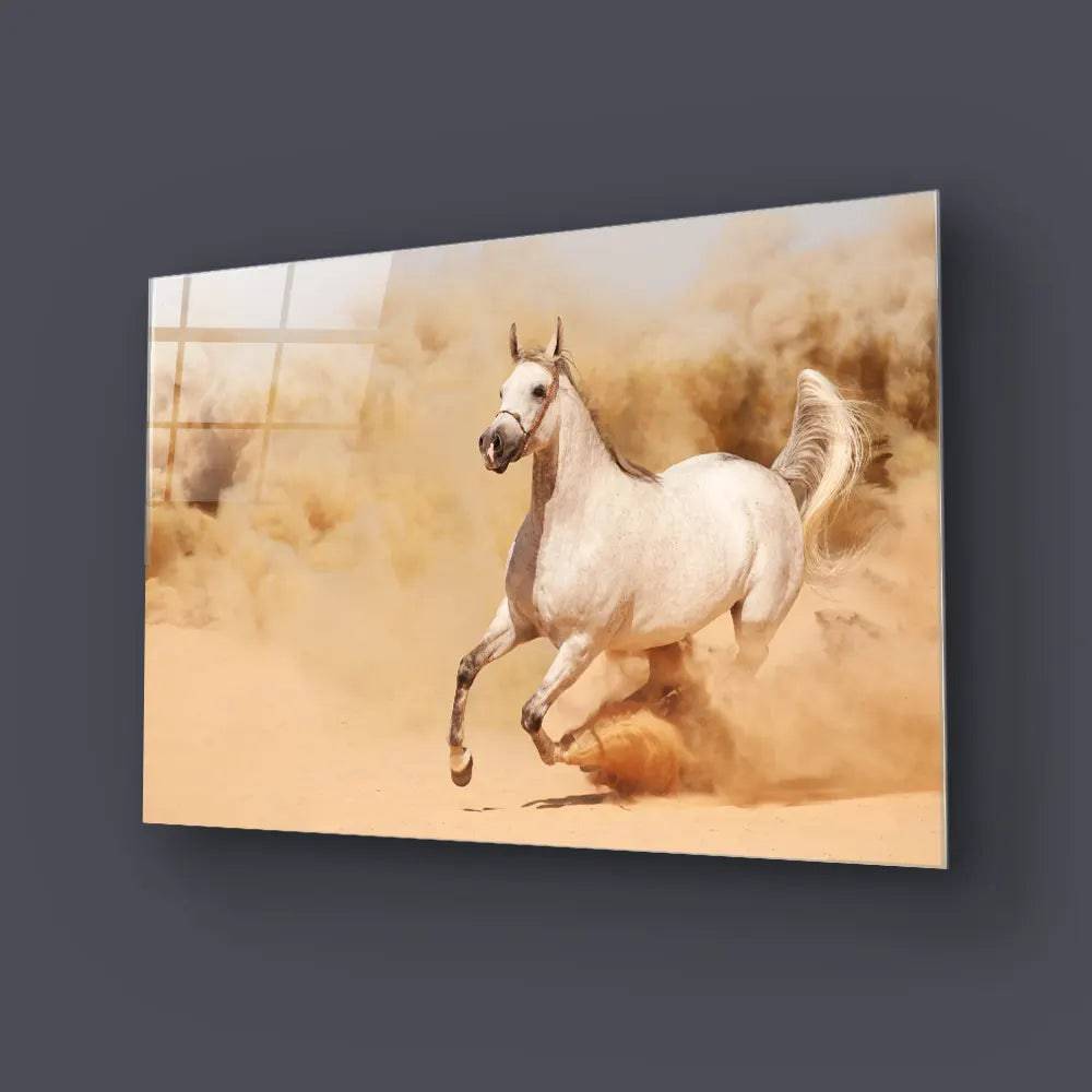 White Horse Running in Desert Glass Wall Art - CreoGlass E-Shop