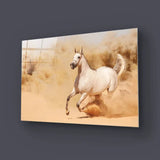 White Horse Running in Desert Glass Wall Art - CreoGlass E-Shop