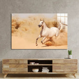 White Horse Running in Desert Glass Wall Art - CreoGlass E-Shop