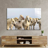 White Horses Glass Wall Art - CreoGlass E-Shop
