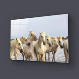 White Horses Glass Wall Art - CreoGlass E-Shop