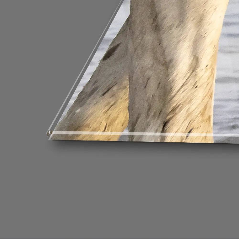 White Horses Glass Wall Art - CreoGlass E-Shop