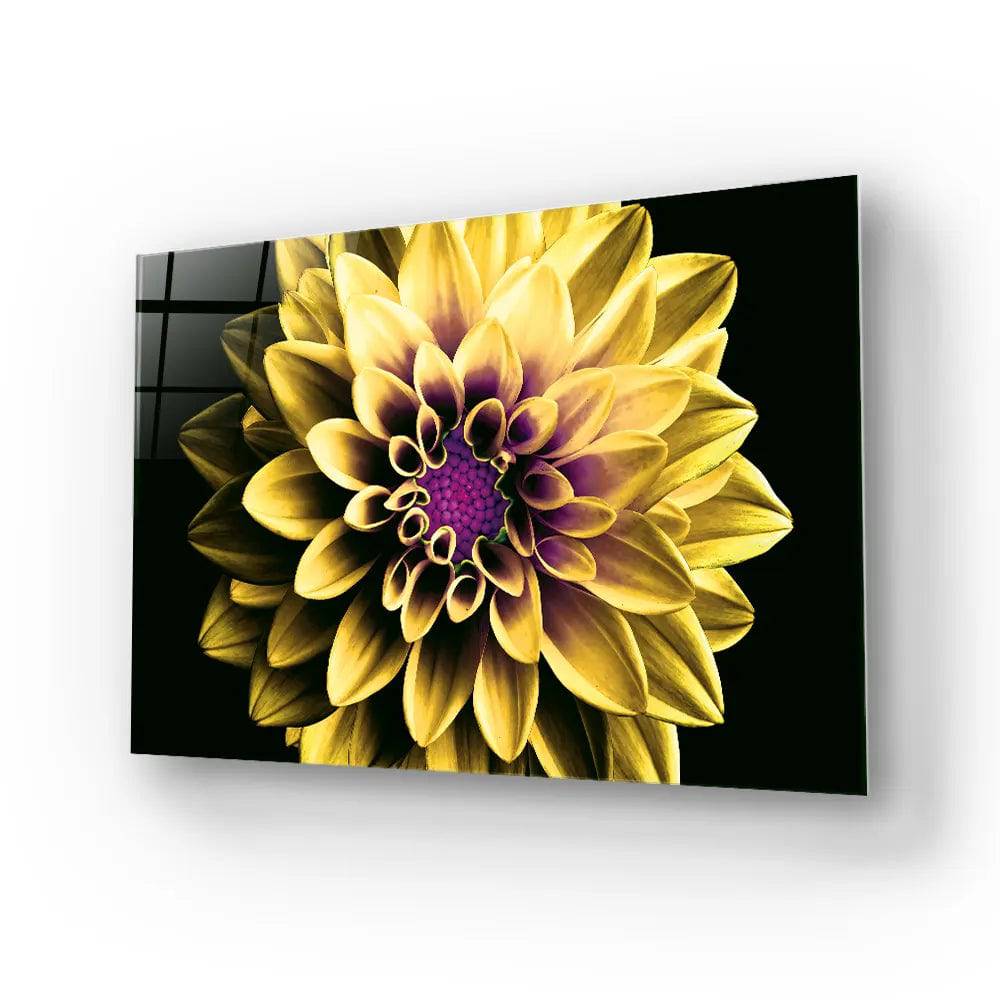 Yellow and Purple Dahlia Glass Wall Art - CreoGlass E-Shop