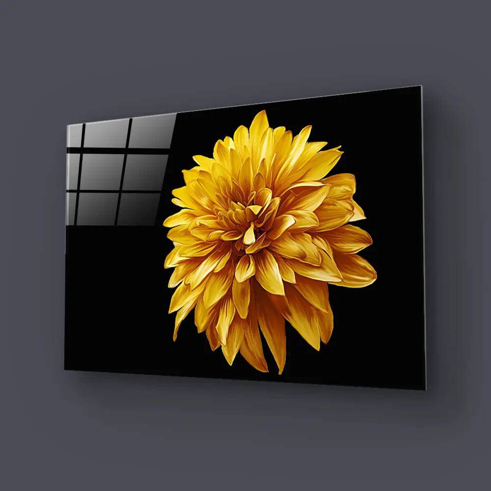 Yellow Chrysanthemum With Black Background Glass Wall Art - CreoGlass E-Shop
