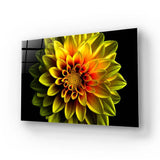 Yellow Dahlia Glass Wall Art - CreoGlass E-Shop