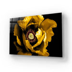 Yellow Peony Glass Wall Art - CreoGlass E-Shop