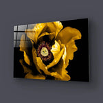 Yellow Peony Glass Wall Art - CreoGlass E-Shop