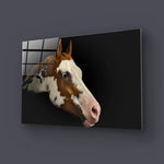 Young Horse Looking Glass Wall Art - CreoGlass E-Shop