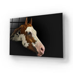 Young Horse Looking Glass Wall Art - CreoGlass E-Shop
