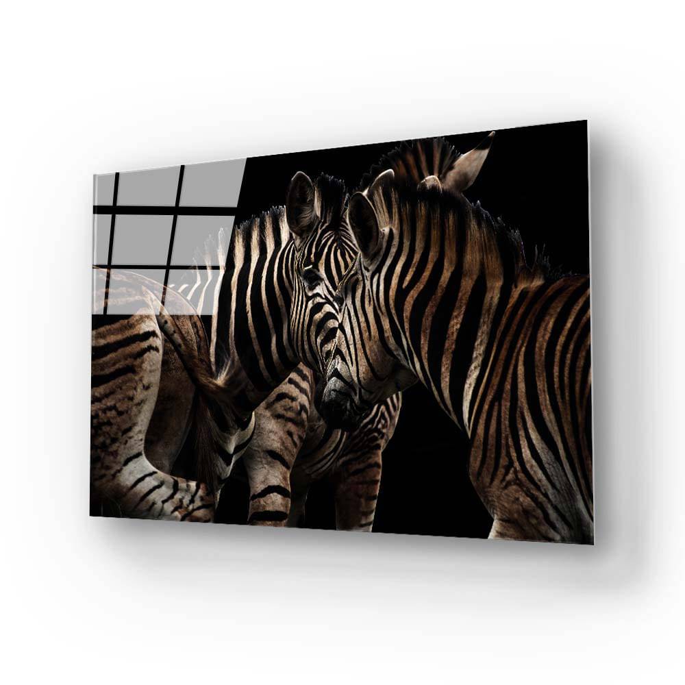Zebra Family Close Up Black Background Glass Wall Art - CreoGlass E-Shop