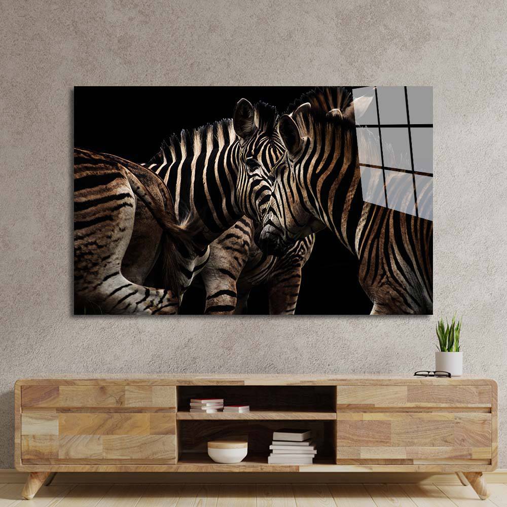 Zebra Family Close Up Black Background Glass Wall Art - CreoGlass E-Shop
