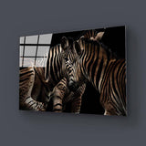 Zebra Family Close Up Black Background Glass Wall Art - CreoGlass E-Shop