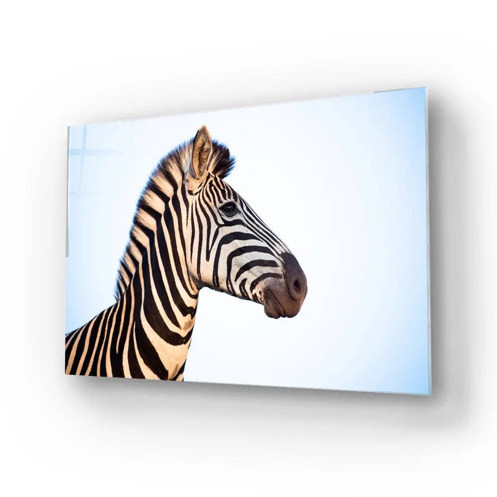 Zebra Portrait Blue Sky Background Glass Wall Art - CreoGlass E-Shop