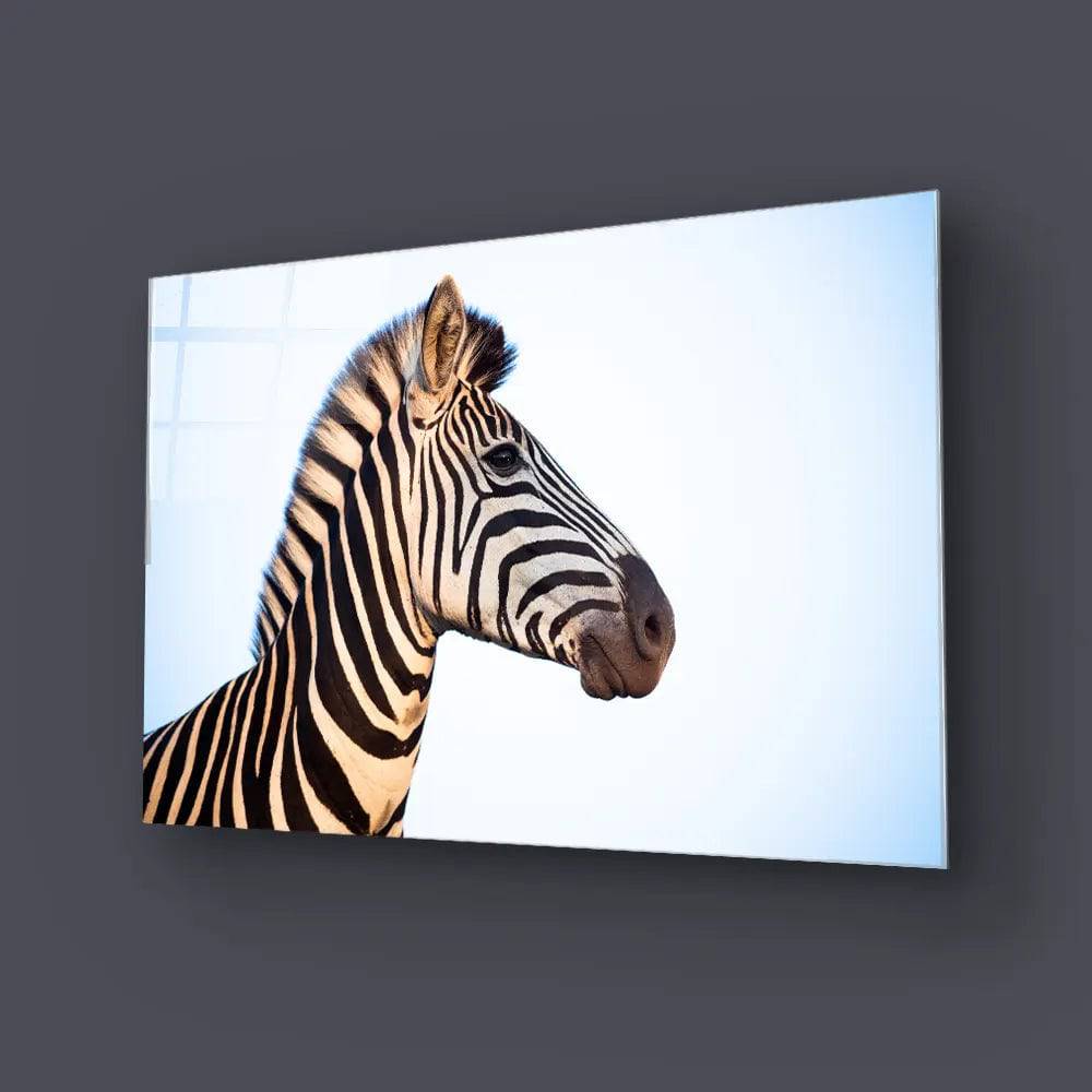 Zebra Portrait Blue Sky Background Glass Wall Art - CreoGlass E-Shop