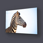Zebra Portrait Blue Sky Background Glass Wall Art - CreoGlass E-Shop
