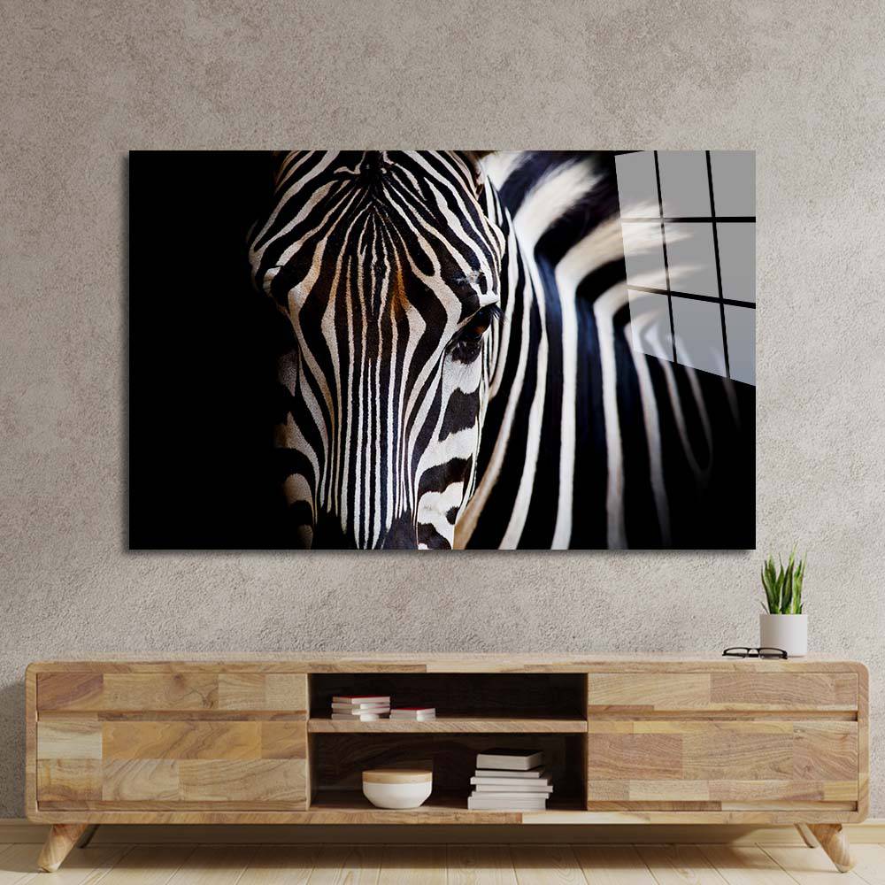 Zebra Spotlight Black Background Glass Wall Art - CreoGlass E-Shop