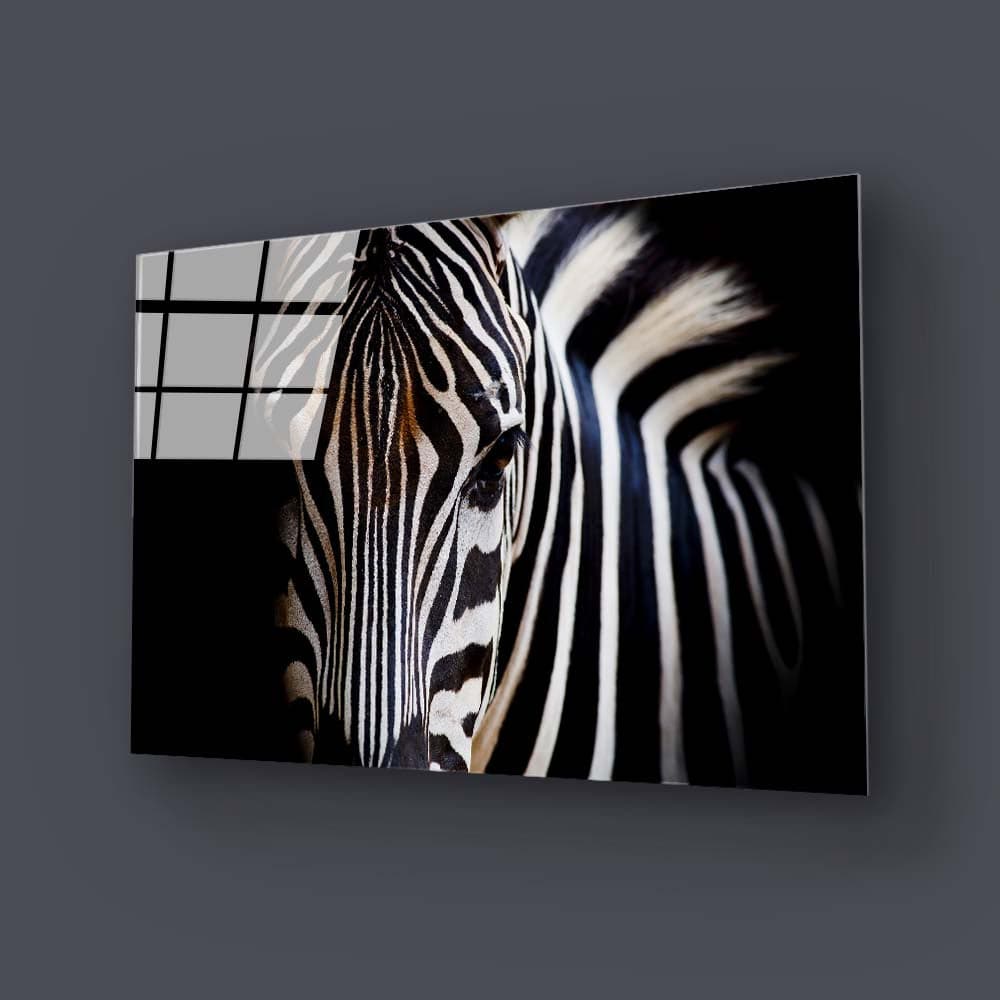 Zebra Spotlight Black Background Glass Wall Art - CreoGlass E-Shop