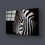 Zebra Spotlight Black Background Glass Wall Art - CreoGlass E-Shop