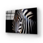 Zebra Spotlight Black Background Glass Wall Art - CreoGlass E-Shop