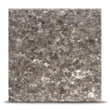 Deep Silver Premium Textured Sample