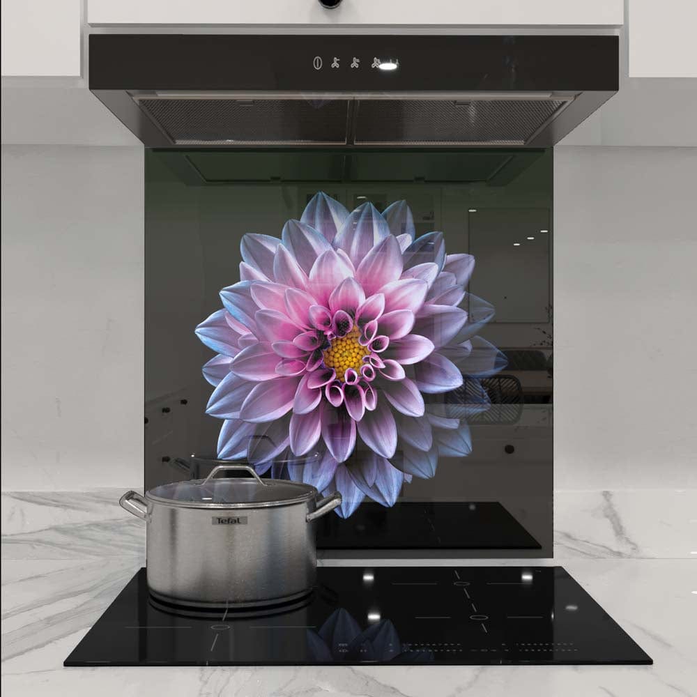Purple Dahlia Glass Kitchen Splashback