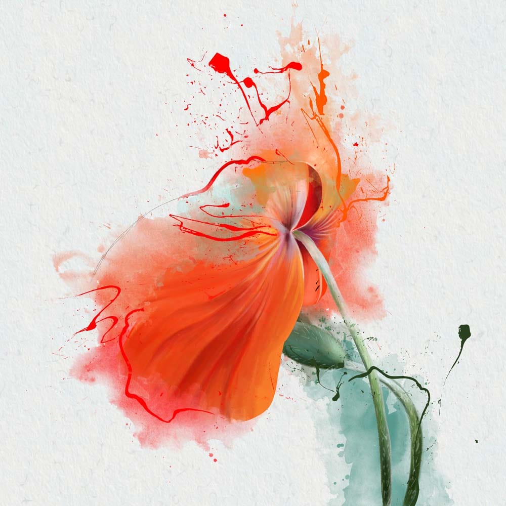 Red Flower Painting Glass Kitchen Splashback