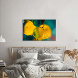 Abstract Water and Oil Bubbles Glass Wall Art - CreoGlass E-Shop