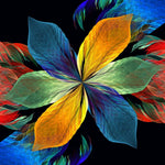 Colourful Petals Glass Kitchen Splashback