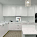 Cardinal Bird Printed Glass  Splashback - CreoGlass E-Shop