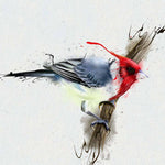 Cardinal Bird Printed Glass  Splashback - CreoGlass E-Shop