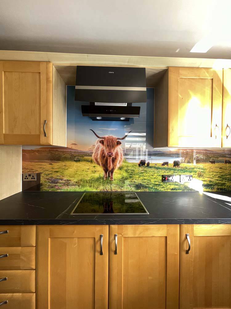 Farmland Animals Printed Glass Kitchen Splashback - CreoGlass E-Shop