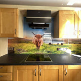 Farmland Animals Printed Glass Kitchen Splashback - CreoGlass E-Shop