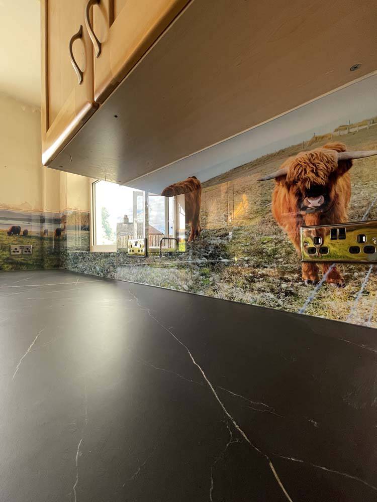 Farmland Animals Printed Glass Kitchen Splashback - CreoGlass E-Shop