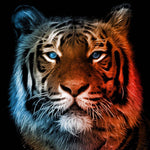 Fire and Ice Tiger Printed Glass  Splashback - CreoGlass E-Shop